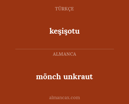 mönch unkraut - keşişotu