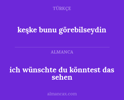 keşke bunu görebilseydin - ich wünschte du könntest das sehen