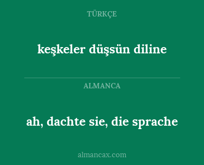ah, dachte sie, die sprache - keşkeler düşsün diline
