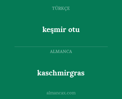 kaschmirgras - keşmir otu