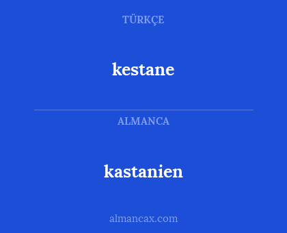 kastanien - kestane