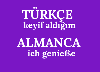 keyif+ald%C4%B1%C4%9F%C4%B1m-ich+genie%C3%9Fe.png