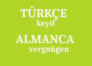 Almanca Ceviri Vergnugen Turkcesi Nedir Vergnugen Ne Demek Vergnugen Cevirisi Nedir Almanca Vergnugen Ne Demek