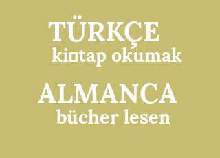 ki%CC%87tap+okumak-b%C3%BCcher+lesen.png