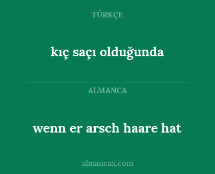 kıç saçı olduğunda - wenn er arsch haare hat