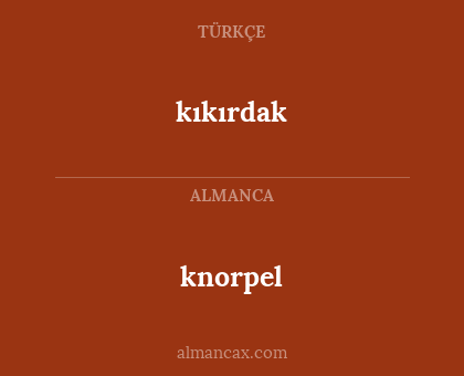 knorpel - kıkırdak