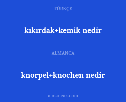 knorpel+knochen nedir - kıkırdak+kemik nedir