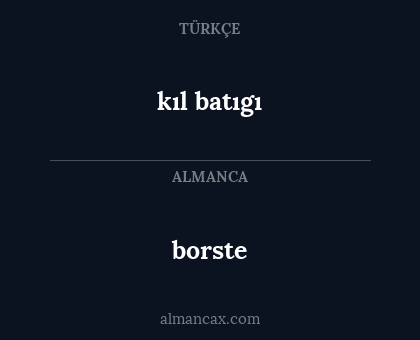 borste - kıl batıgı