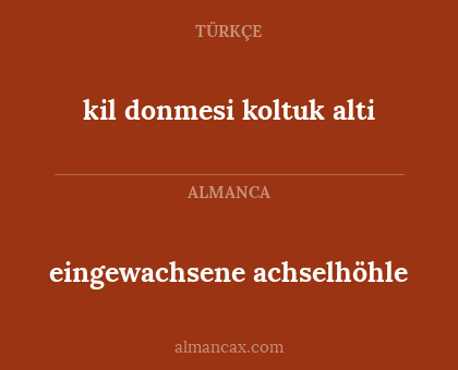 eingewachsene achselhöhle - kil donmesi koltuk alti