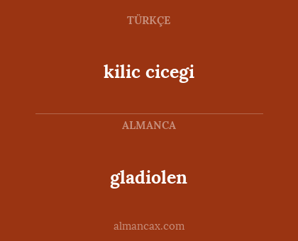 kilic cicegi - gladiolen