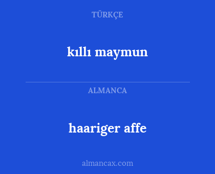 haariger affe - kıllı maymun