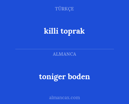 toniger boden - killi toprak