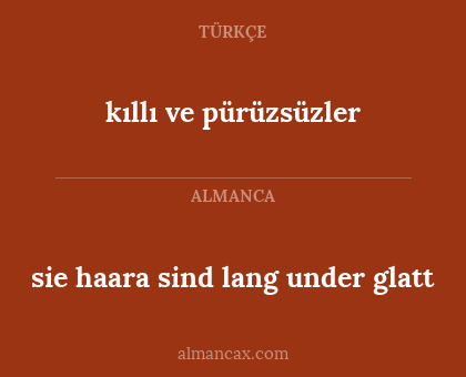 kıllı ve pürüzsüzler - sie haara sind lang under glatt