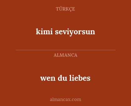 kimi seviyorsun - wen du liebes
