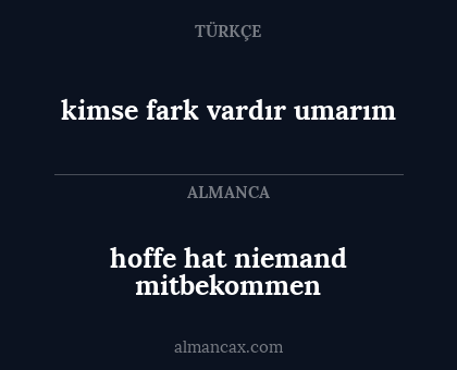 hoffe hat niemand mitbekommen - kimse fark vardır umarım