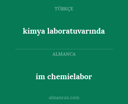 kimya laboratuvarında - im chemielabor