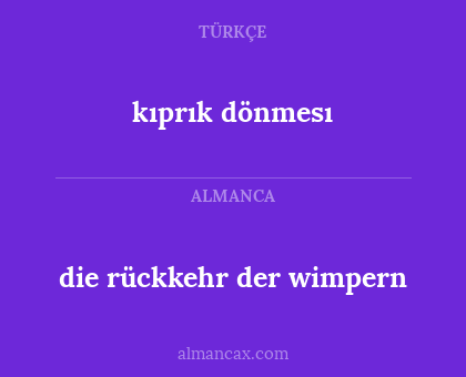 kıprık dönmesı - die rückkehr der wimpern