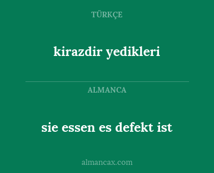 sie essen es defekt ist - kirazdir yedikleri