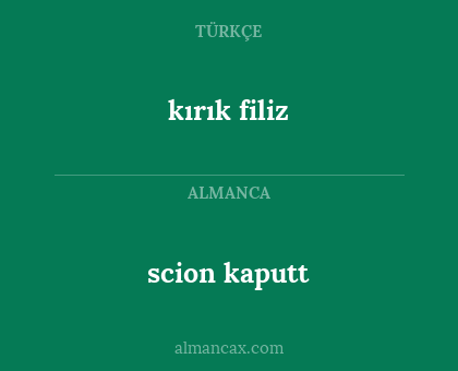 kırık filiz - scion kaputt