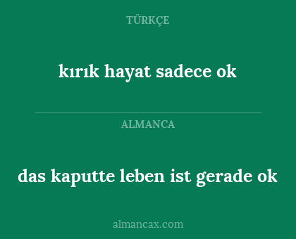 das kaputte leben ist gerade ok - kırık hayat sadece ok