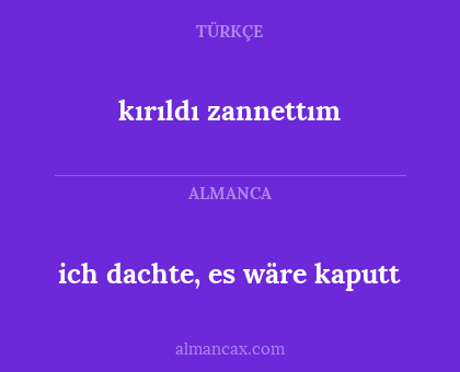 ich dachte, es wäre kaputt - kırıldı zannettım