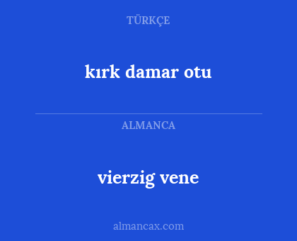 kırk damar otu - vierzig vene