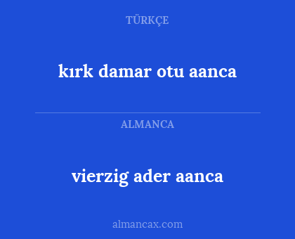 vierzig ader aanca - kırk damar otu aanca