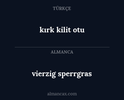 vierzig sperrgras - kırk kilit otu