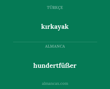 hundertfüßer - kırkayak