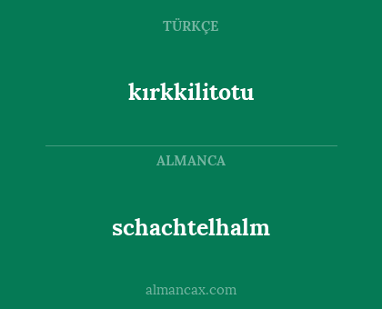 schachtelhalm - kırkkilitotu