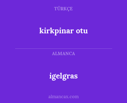 igelgras - kirkpinar otu