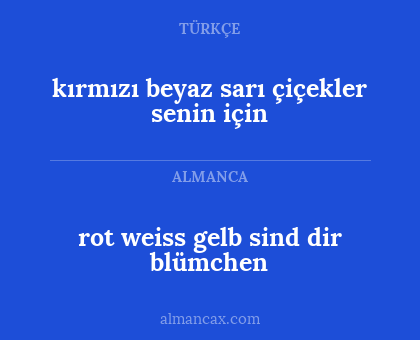 kırmızı beyaz sarı çiçekler senin için - rot weiss gelb sind dir blümchen