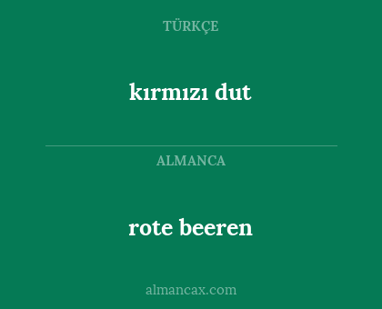 kırmızı dut - rote beeren
