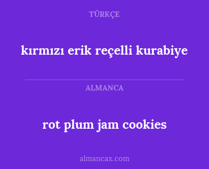 rot plum jam cookies - kırmızı erik reçelli kurabiye