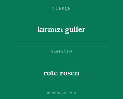 rote rosen - kırmızı guller