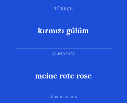 meine rote rose - kırmızı gülüm