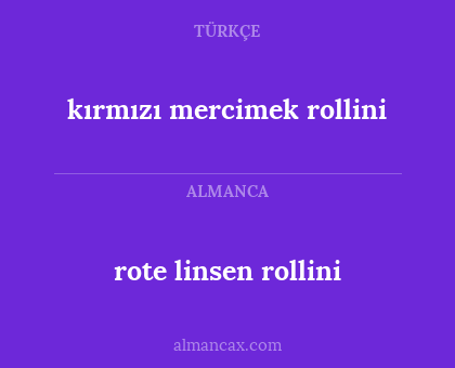 rote linsen rollini - kırmızı mercimek rollini