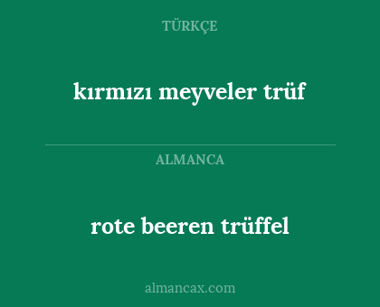 kırmızı meyveler trüf - rote beeren trüffel