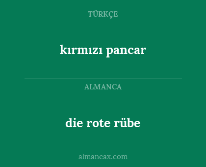 die rote rübe - kırmızı pancar