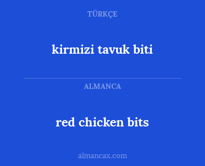 red chicken bits - kirmizi tavuk biti
