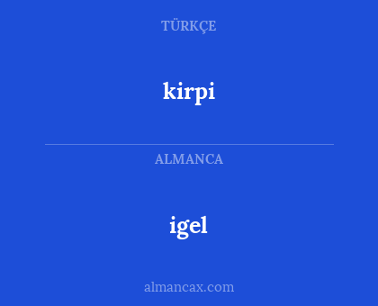 igel - kirpi
