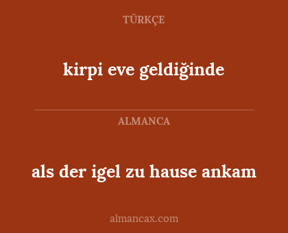 kirpi eve geldiğinde - als der igel zu hause ankam