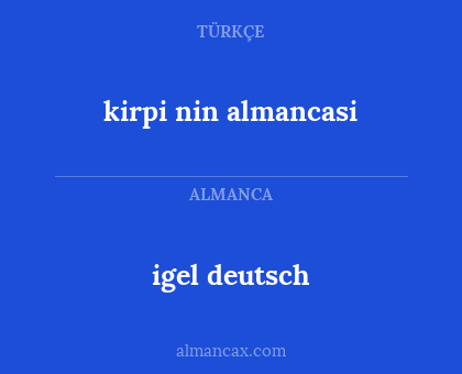 kirpi nin almancasi - igel deutsch
