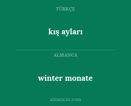 winter monate - kış ayları