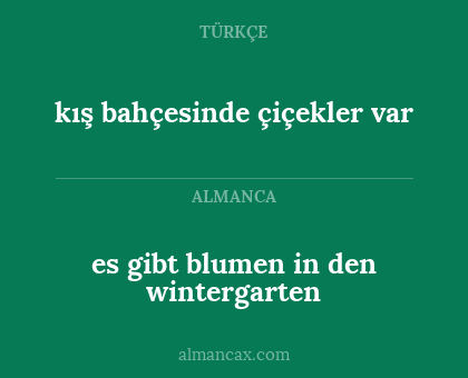 kış bahçesinde çiçekler var - es gibt blumen in den wintergarten