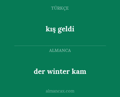 der winter kam - kış geldi