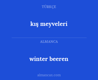 kış meyveleri - winter beeren