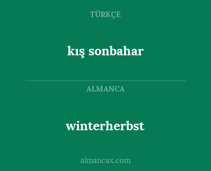 winterherbst - kış sonbahar