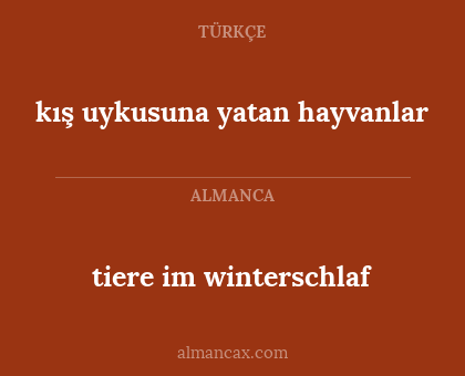 kış uykusuna yatan hayvanlar - tiere im winterschlaf