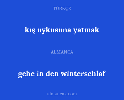 kış uykusuna yatmak - gehe in den winterschlaf